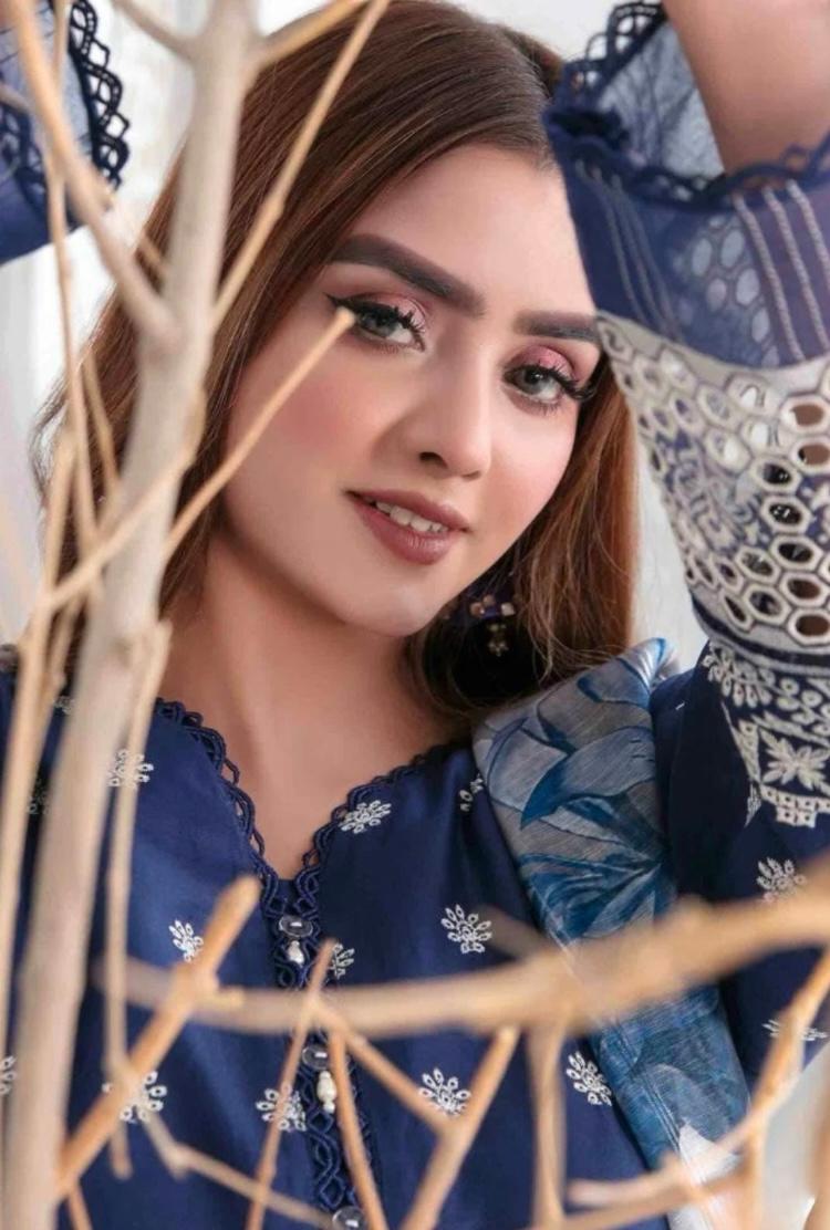 3 Piece Stitched Lawn Schiffli Embroidered Suit - Medium
